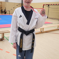 Taekwondo